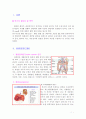 colon ca. case 2페이지