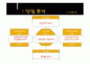 녹십자&슈넬제약의 산업분석 및 재무분석 비교 12페이지