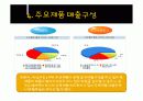 녹십자&슈넬제약의 산업분석 및 재무분석 비교 17페이지