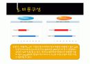 녹십자&슈넬제약의 산업분석 및 재무분석 비교 18페이지