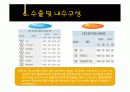 녹십자&슈넬제약의 산업분석 및 재무분석 비교 19페이지