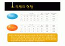 녹십자&슈넬제약의 산업분석 및 재무분석 비교 21페이지