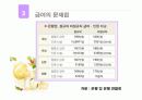 비정규직근로자 문제점 및 선진국을 통해 알아본 대응방향 14페이지