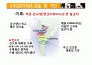 아르헨티나 와인 산업 6페이지