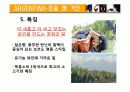 아르헨티나 와인 산업 8페이지