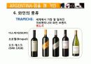 아르헨티나 와인 산업 9페이지