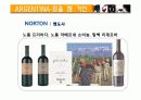 아르헨티나 와인 산업 11페이지