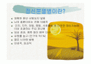 정신분열증 ppt자료 2페이지