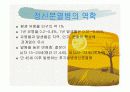정신분열증 ppt자료 3페이지