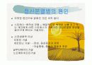 정신분열증 ppt자료 5페이지