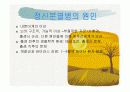 정신분열증 ppt자료 6페이지