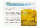 정신분열증 ppt자료 8페이지