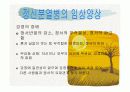 정신분열증 ppt자료 11페이지