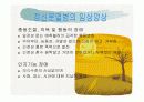 정신분열증 ppt자료 12페이지