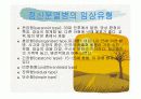 정신분열증 ppt자료 15페이지
