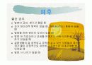 정신분열증 ppt자료 17페이지