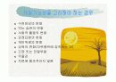 정신분열증 ppt자료 20페이지