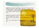 정신분열증 ppt자료 25페이지