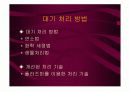 저온 플라즈마를 이용한 대기처리 4페이지