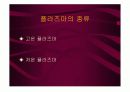 저온 플라즈마를 이용한 대기처리 7페이지