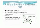 폴리스티렌의분석방법 23페이지
