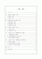 소방조직 및 소방행정의 문제점과 발전방안 1페이지