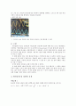 기초회로실험 결과레포트 - RC회로의 과도응답 및 정상상태응답 3페이지