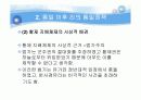 진나라에 대하여  시황제 29페이지