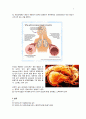 천식 asthma  2페이지