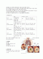 천식 asthma  3페이지