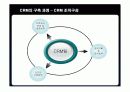 삼성생명의 CRM 구축 성공사례 10페이지