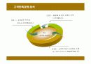 현대백화점의 고객만족경영 성공사례 17페이지