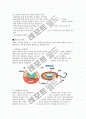 세포에 관한 고찰 3페이지