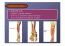 하퇴손상의 재활 5페이지