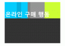 온라인 구매 행동에 대한 보고서  1페이지
