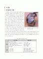 마이크로 전기영동(전자종이) 디스플레이 2페이지