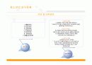 [청소년교육개론]청소년 개인적 문제에 관한 청소년기 이론, 문제 , 특징 분석 정리 14페이지
