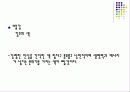 건축과 색채 19페이지