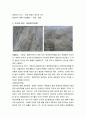 주변환경 근처에 흔히 볼수있는 돌조사 2페이지