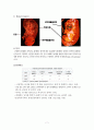 수술실 case study (Laparoscopic Parcial Nephrectomy) 7페이지