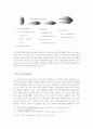 LG전자의 중국시장 진출 성공사례  (소싱전략) 9페이지