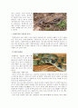 한국의 독사 10페이지