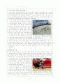 스페인의 정열, 투우 경기 4페이지
