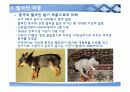 유업의 사회적 이슈와 CSR방안 13페이지