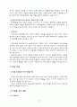 한국적 의료 모형 4페이지