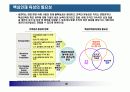 핵심인재 육성전략과 사례 30페이지