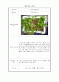 상추재배 관찰기록 7페이지