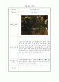 상추재배 관찰기록 10페이지