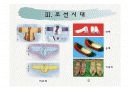 의류교육론-의상사론  40페이지