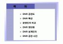 DNR 고도처리기술 3페이지